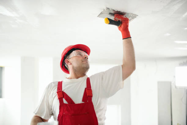 Best Commercial Painting  in Stafford, TX